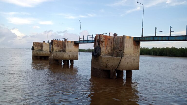 IMG-20250224-WA0074